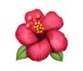 🌺 Hibiscus Emoji